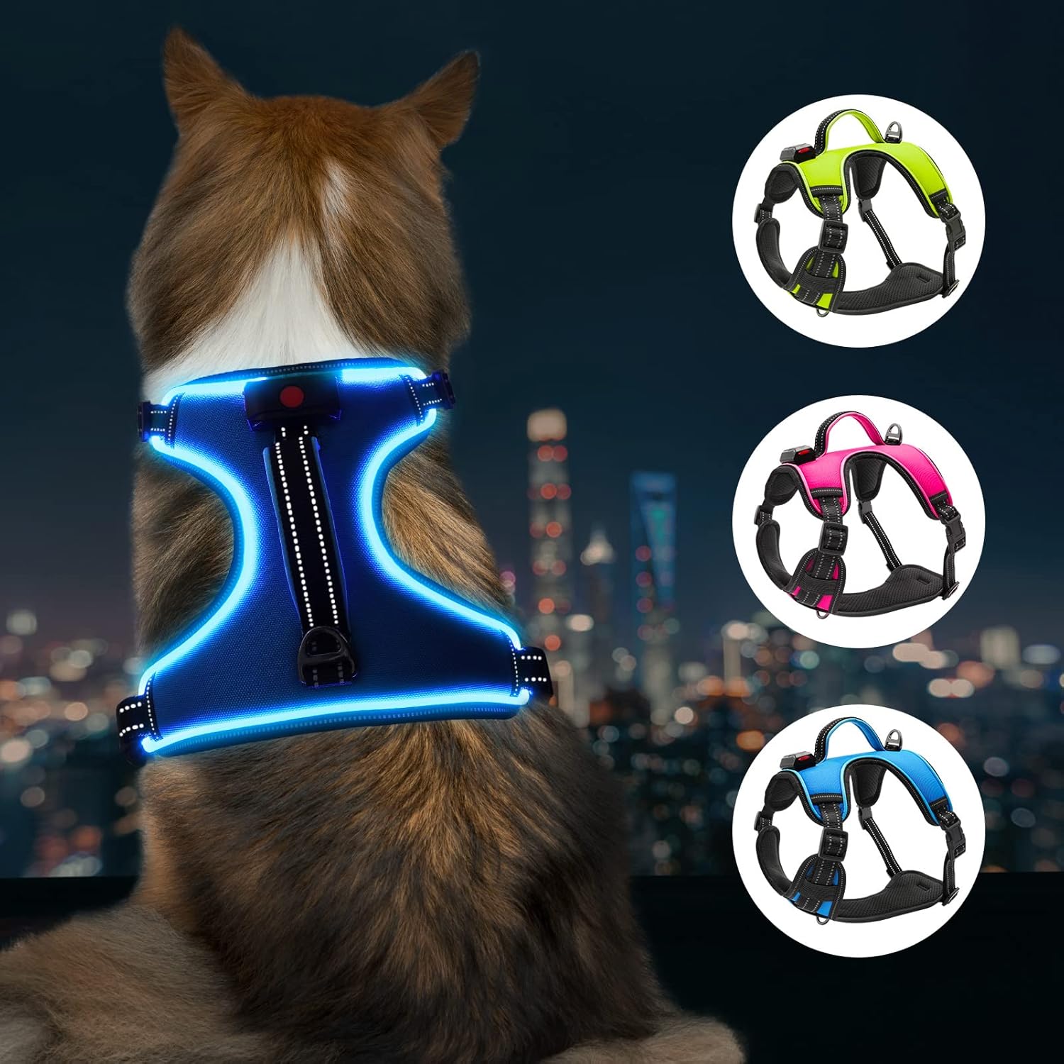 Durable Adjustable LED Dog Harness with Reflective Light for Small, Medium, and Large Dogs (Large, Blue)